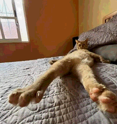 2175